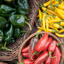 Photo of green peppers, red peppers, and yellow peppers