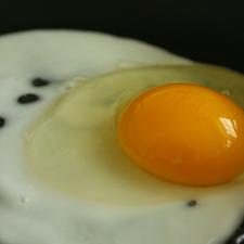 Photo of an egg being fried sunny-side up in a frying pan