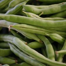 Photo of a bunch of fresh green beans
