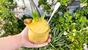 Mango pineapple slush