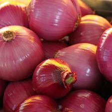 Photo of onions