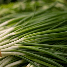 Photo of several bunches of green onion