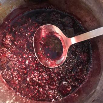 Blackberry sauce