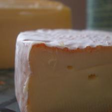 Photo of fresh cheese
