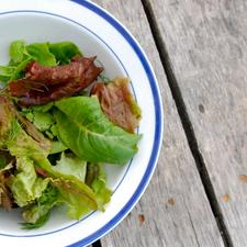 Photo of pieces of baby lettuce in a bowl