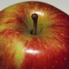 Photo of a red apple