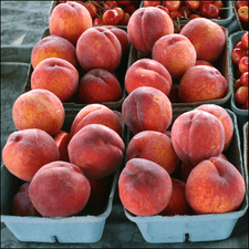 Photo of several baskets of peaches