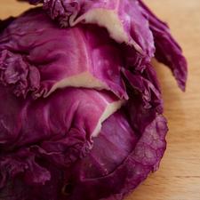 Photo of a head of red cabbage