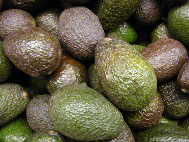 Photo of avocados