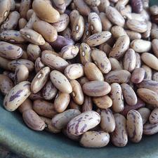 Photo of dried pinto beans