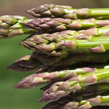 Photo of a bunch of asparagus