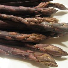 Photo of asparagus tips