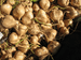 Photo of many jicama