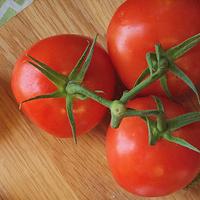 Photo of three tomatoes on a vine