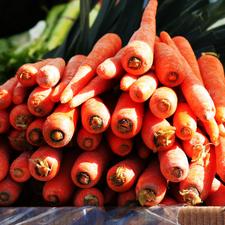 Photo of raw carrots