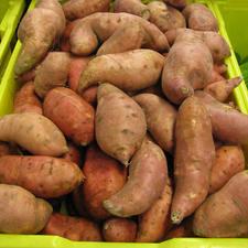 Photo of sweet potatoes in a basket