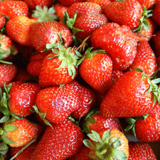 Photo of many strawberries