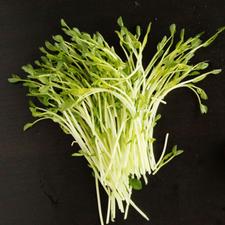 Photo of a bunch of pea shoots on a black background