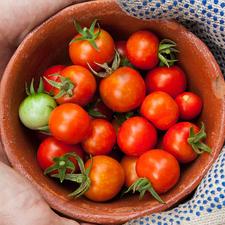 Photo of a bowl of cherry tomatoes