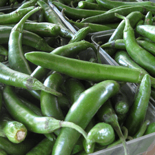 Photo of green hot peppers