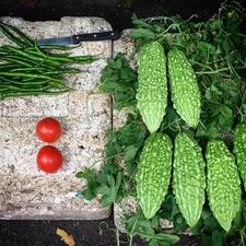 Photo of several bitter melon, green beans, and tomatoes