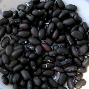 Photo of dried black beans