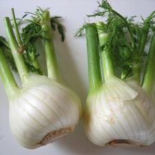 Photo of two fennel bulbs