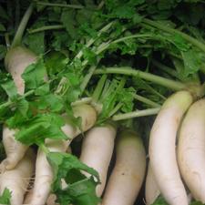 Photo of Daikon radishes