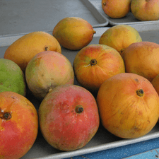 Photo of mangos