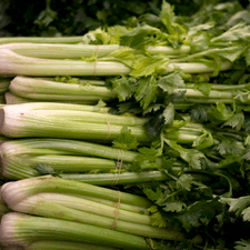 Photo of several bunches of celery