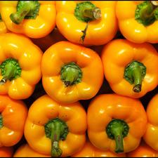 Photo of yellow and orange bell peppers