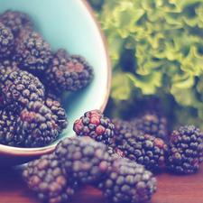 Photo of a bowl of blackberries