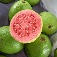 Photo of a guava cut in half, with several whole guavas behind