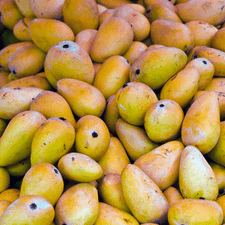 Photo of mangos