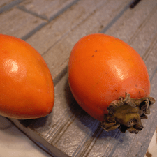 Photo of persimmon fruit