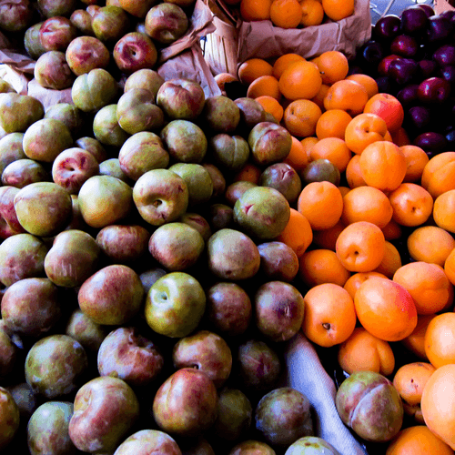 Photo of a variety of stone fruit