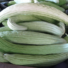 Photo of many cucumbers