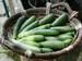 Photo of many zucchini in a basket