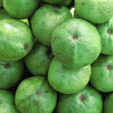 Photo of many guavas