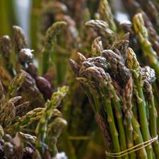 Photo of many bunches of asparagus
